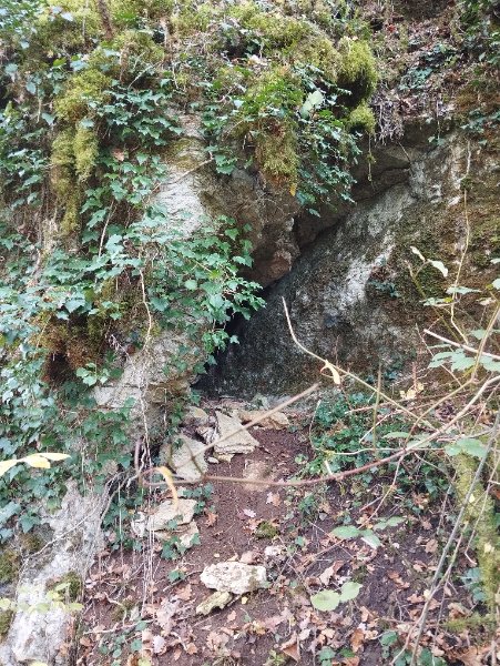 Grapine 2
Fichier manquant